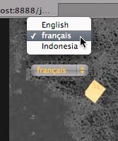 Langue principale du site
