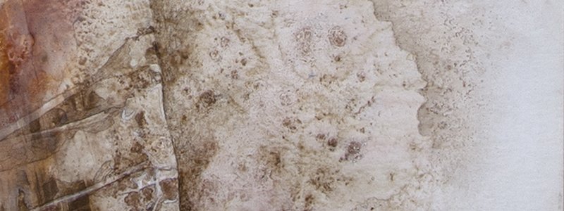 The texture and the fabric.