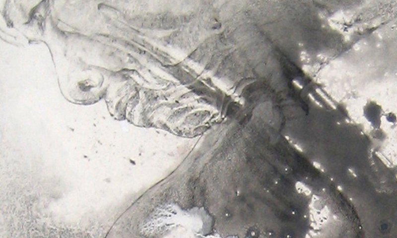 A splash for a neck.